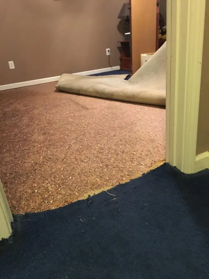 Carpet pad removal revealing water damage during Drying & Dehumidification in Beekman
