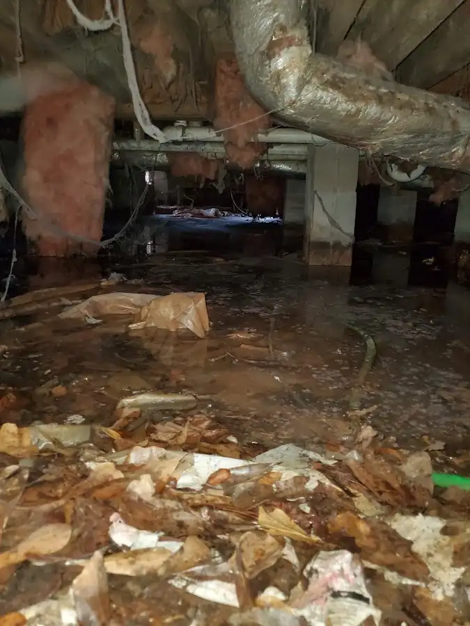 Crawl space flood assessment for Leak Detection & Repair in Beekman